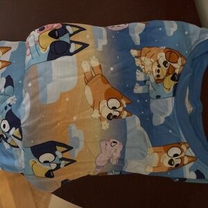 Little Sleepies Size 4t Bluey